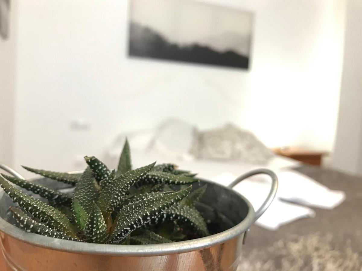 Apartamentos Arha Potes Eksteriør billede